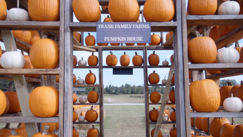 Pumpkin Patch Trask Family Farm
